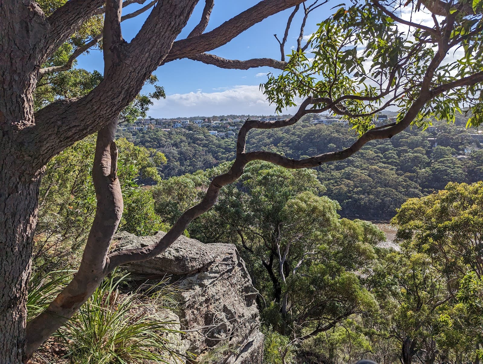 Harold Reid Reserve — Chatswood, Sydney