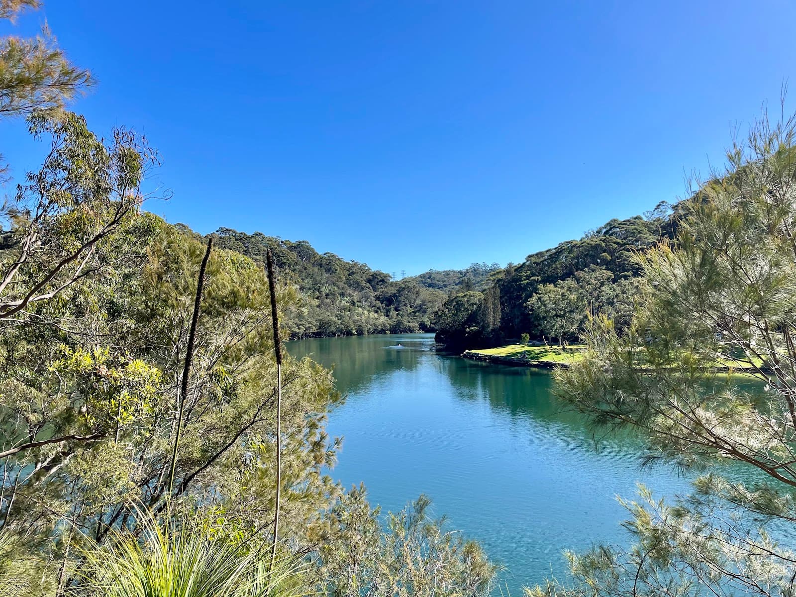 Two Creeks Track — Chatswood, Sydney