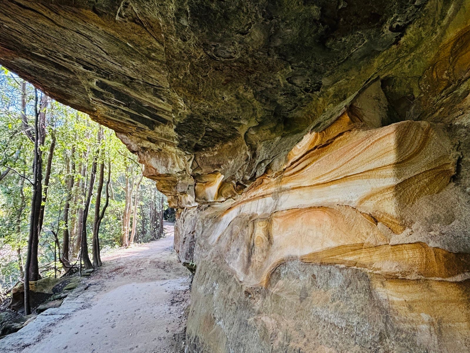 Two Creeks Track — Chatswood, Sydney