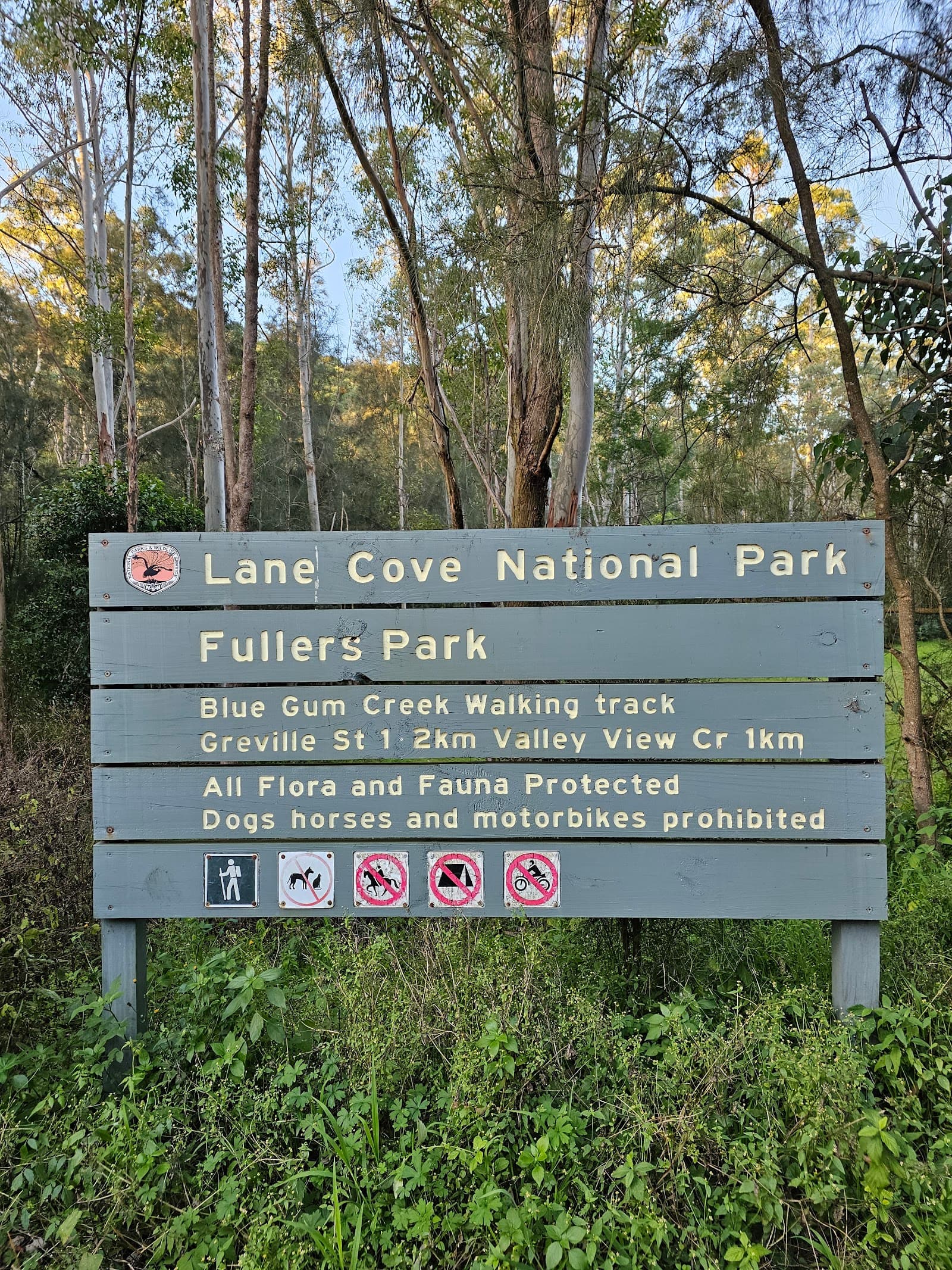 Blue Gum Creek Walking Track — Chatswood, Sydney