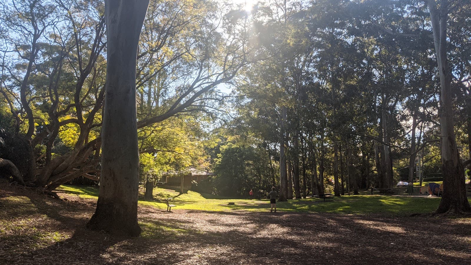Harry Howard Bush Walk — Chatswood, Sydney