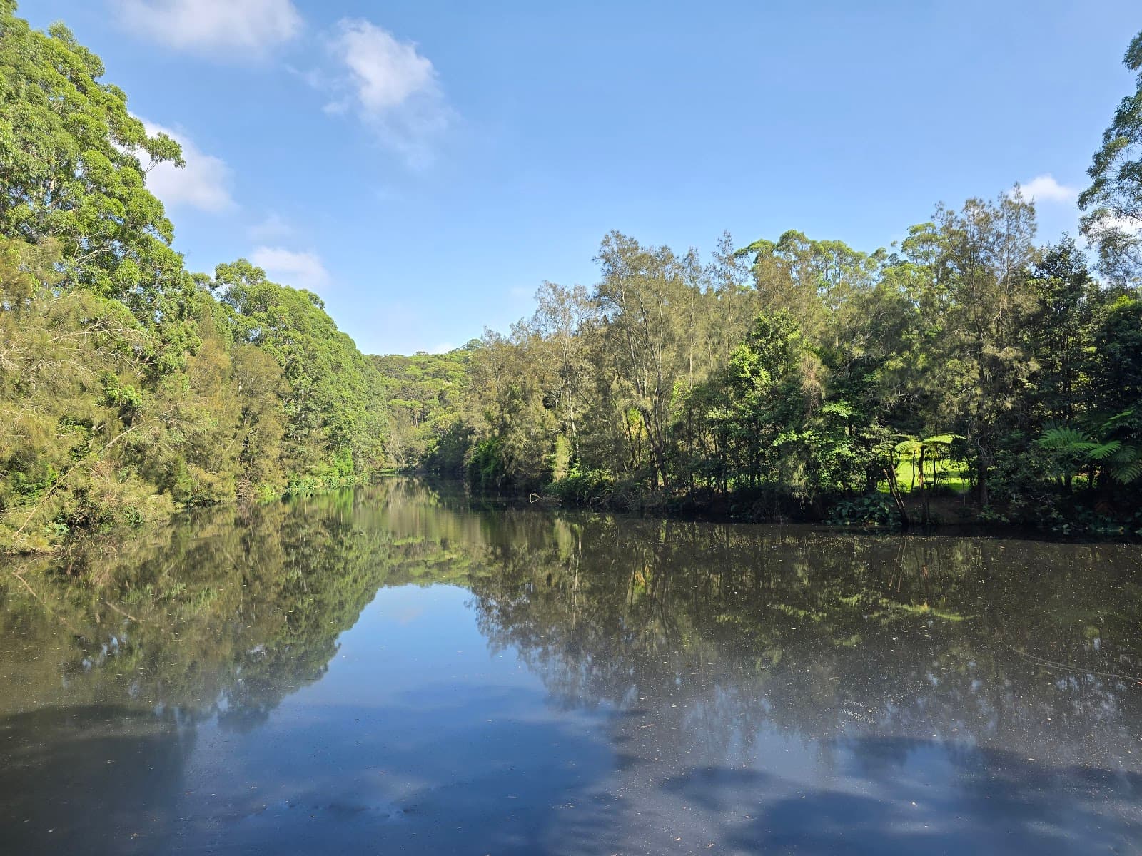 Lane Cove River Track (Fullers Rd Entry) — Chatswood, Sydney