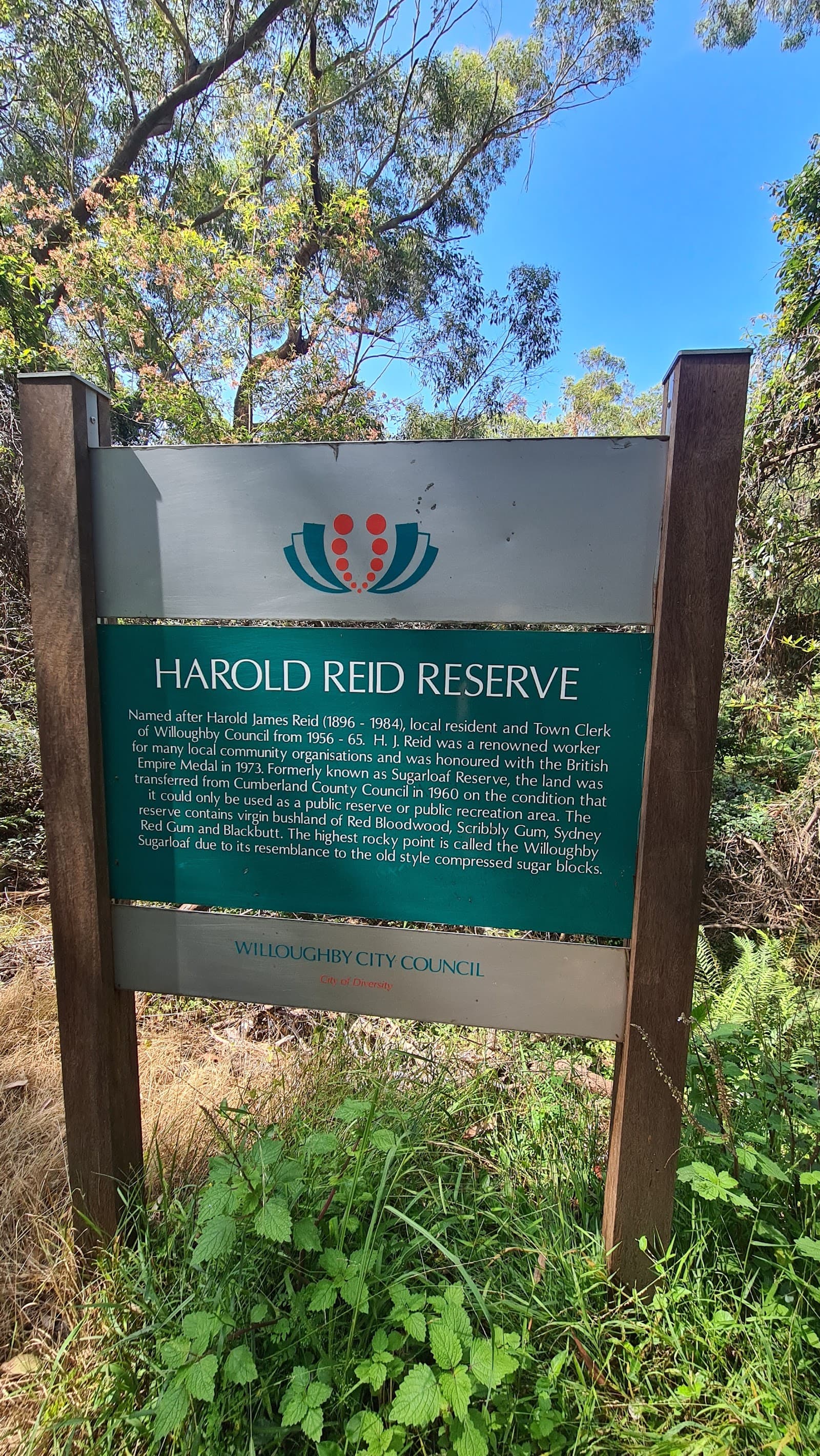 Harold Reid Foreshore Track — Chatswood, Sydney