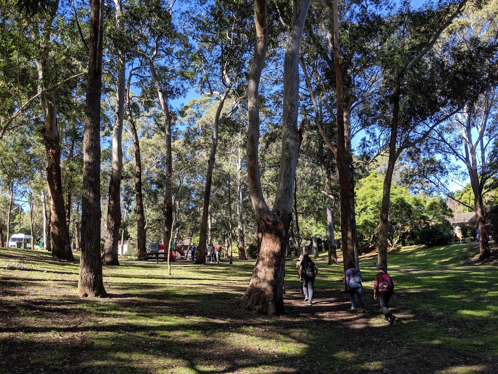 Stringybark Creek Reserve — Chatswood, Sydney