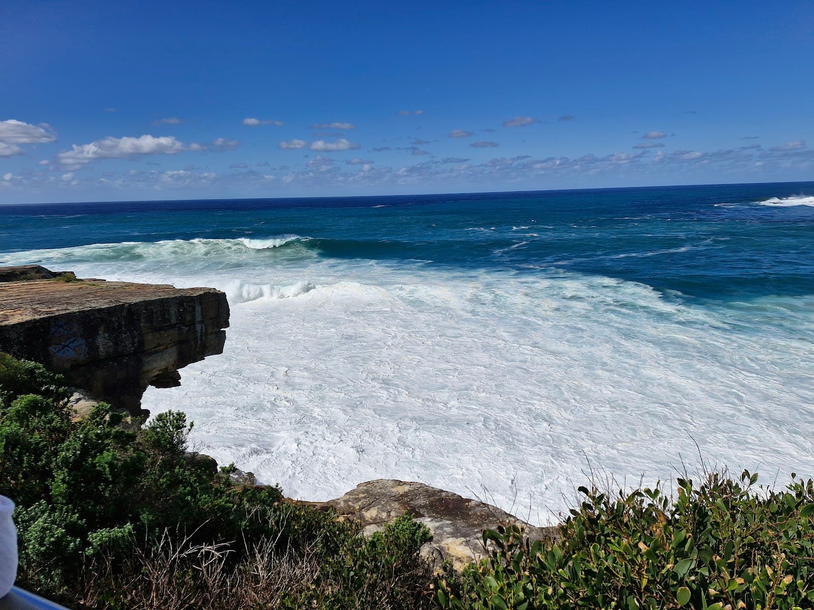 Koojah Cliff — Coogee, Sydney