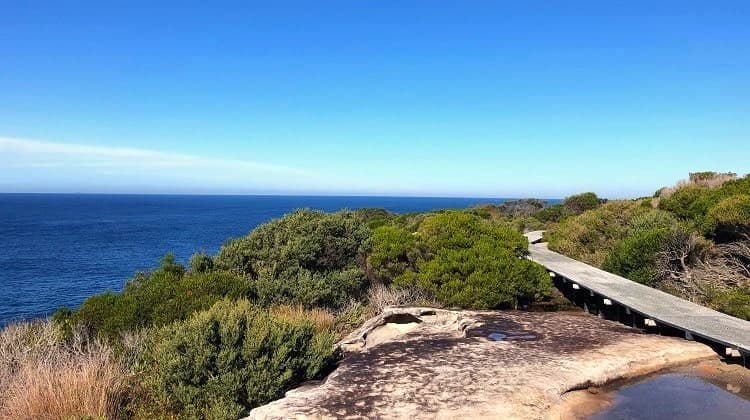 Maroubra to Malabar Coastal Walk — Coogee, Sydney