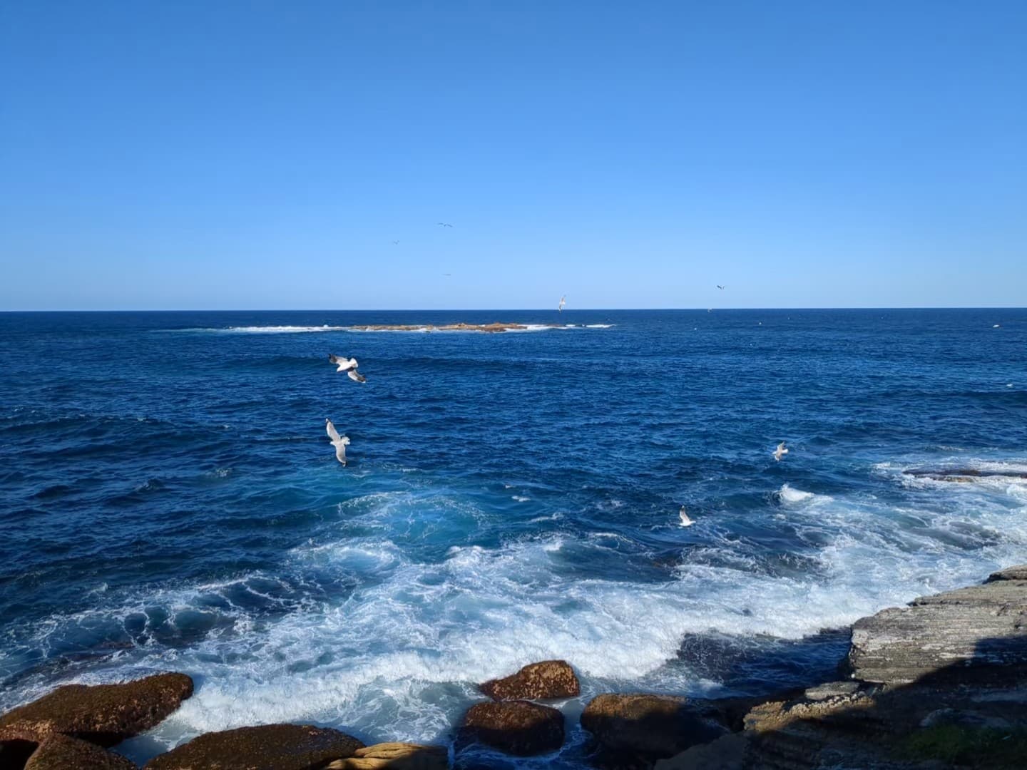 Coogee South Rocky point lookout — Coogee, Sydney