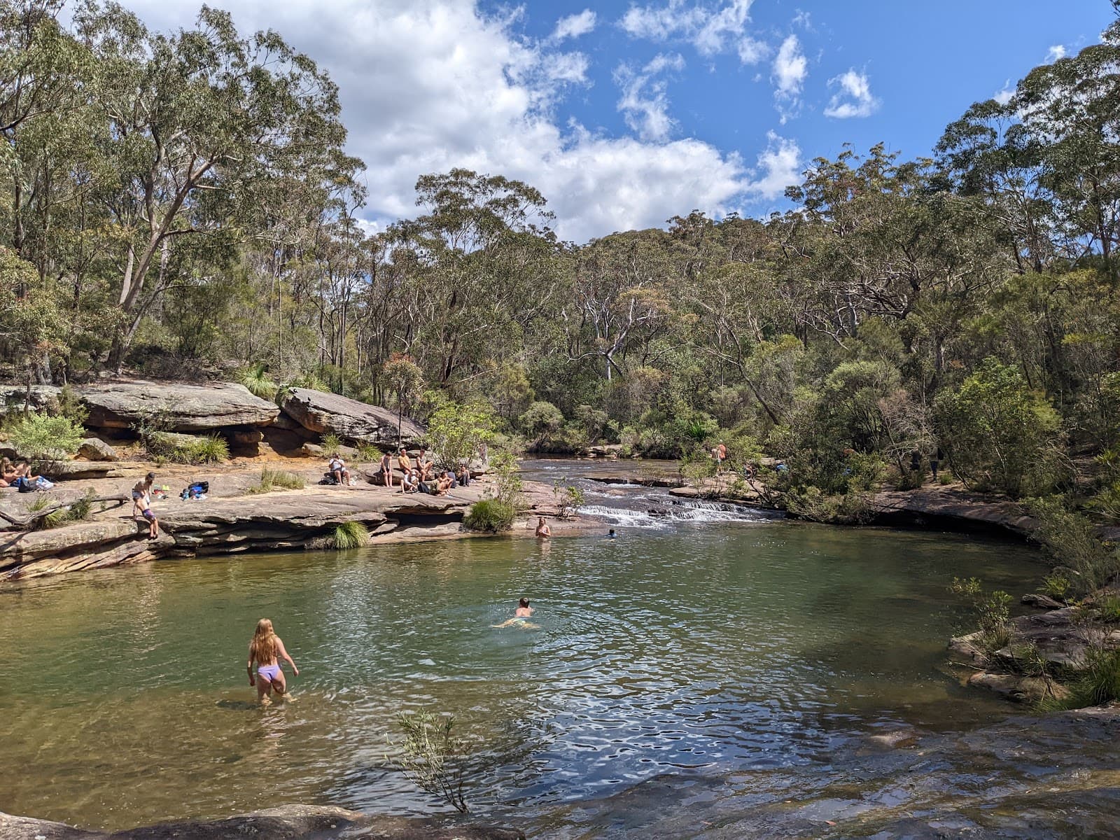 Karloo walking track — Alexandria, Sydney