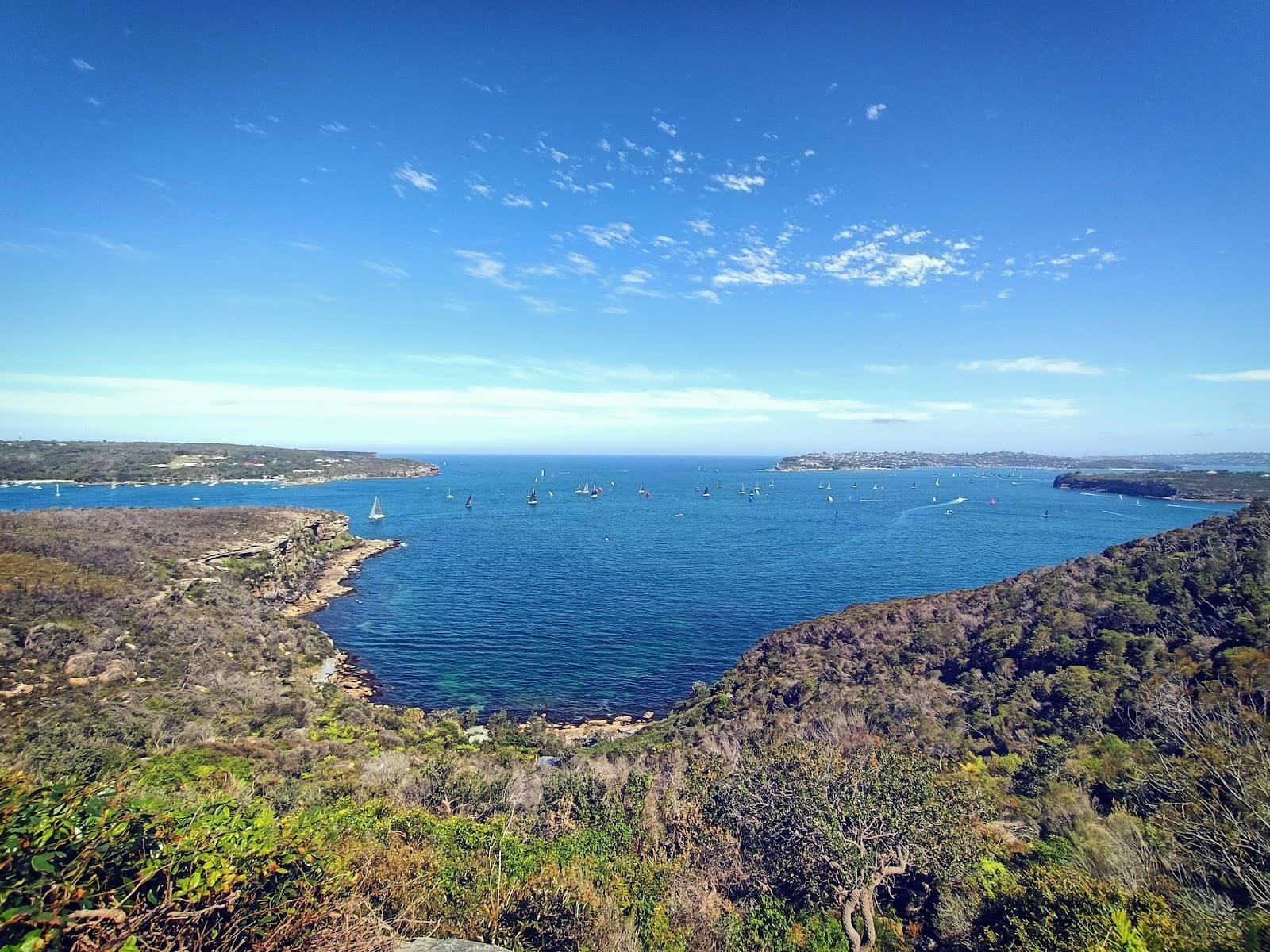 Arabanoo lookout at Dobroyd Head — Alexandria, Sydney