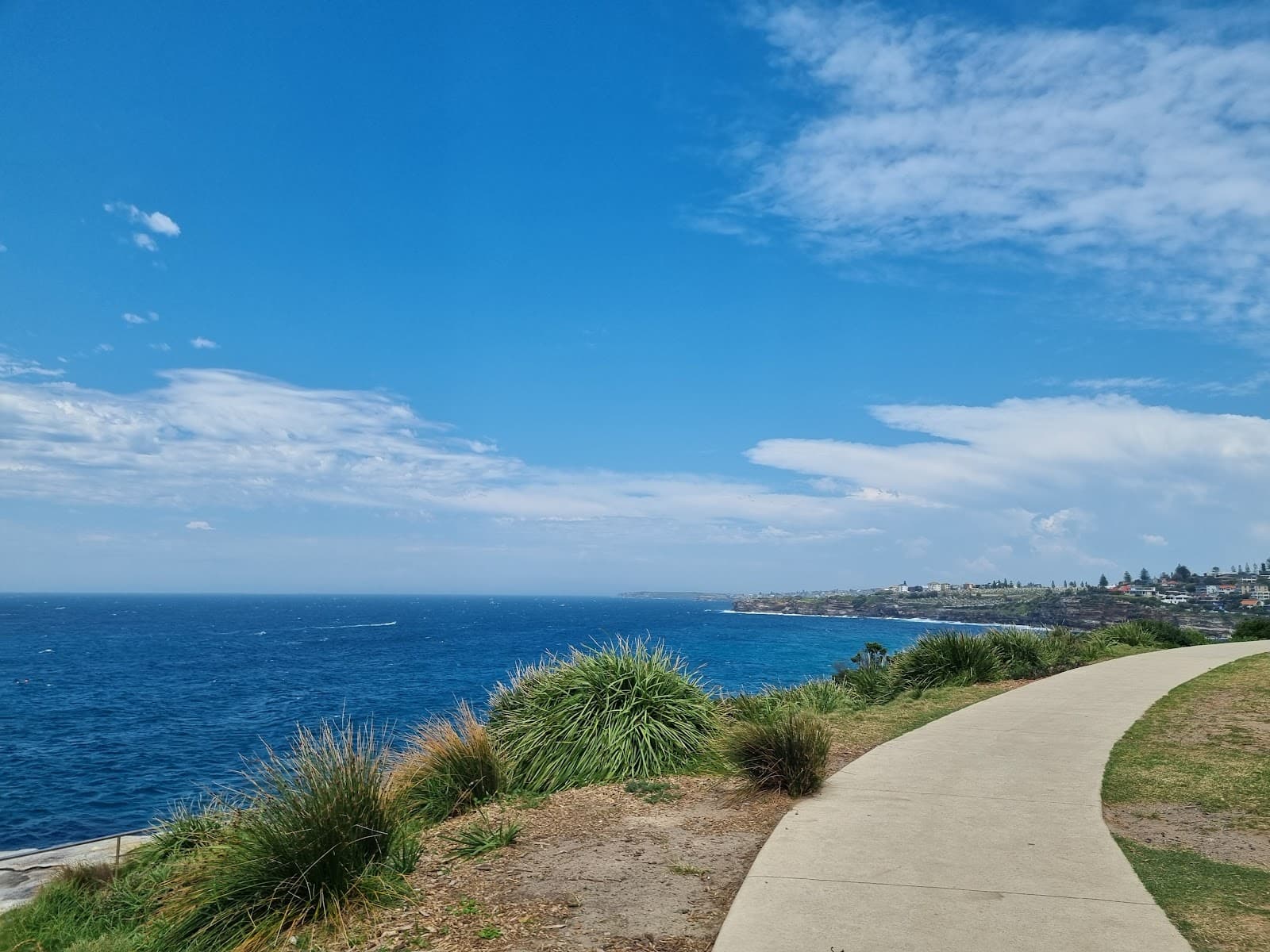 Mackenzie’s Point lookout — Bondi, Sydney