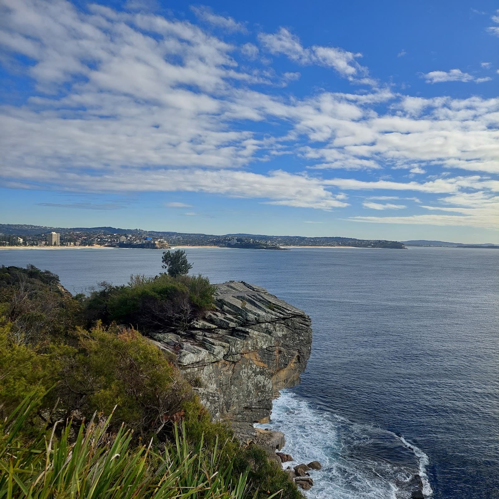 Shelly Headland Upper Lookout — Manly, Sydney