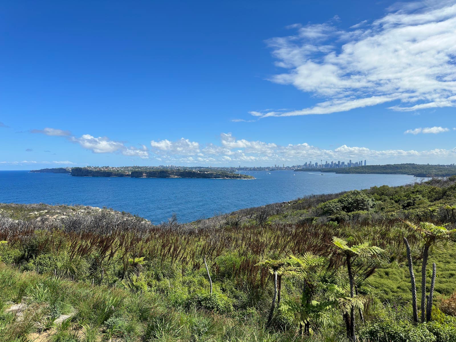 North Head Scenic Drive View Point — Manly, Sydney