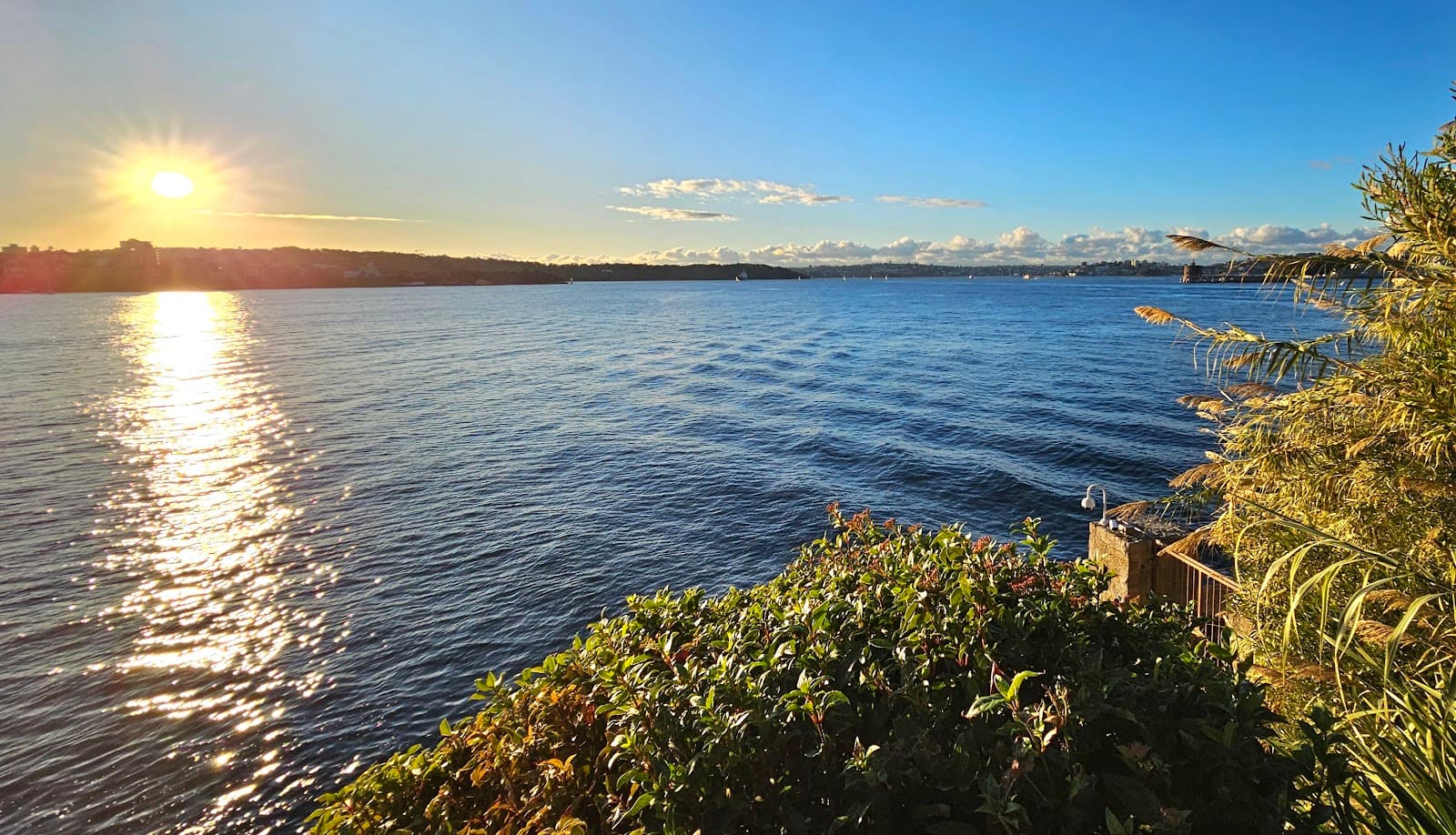Lady Gowrie Lookout — Chatswood, Sydney