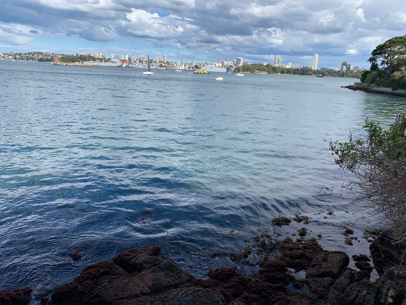 Lady Gowrie Lookout — Chatswood, Sydney