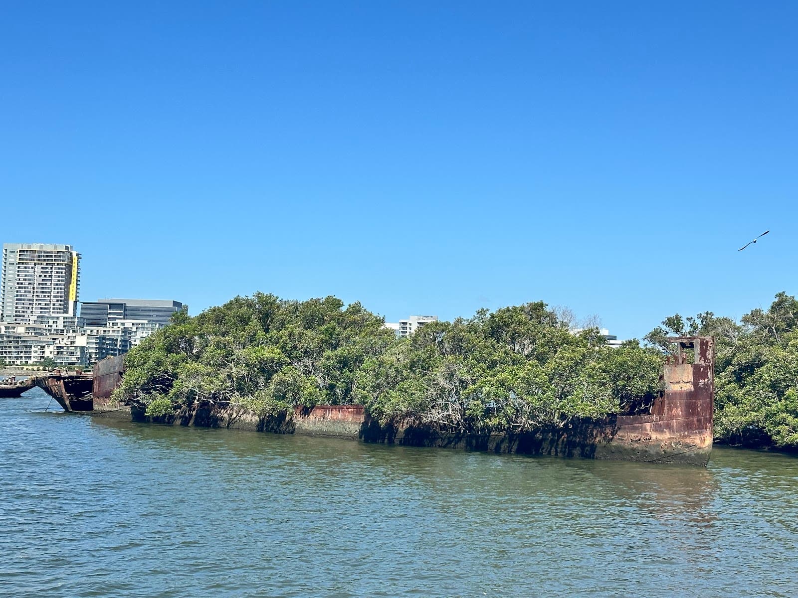 Shipwreck Lookout — Parramatta, Sydney