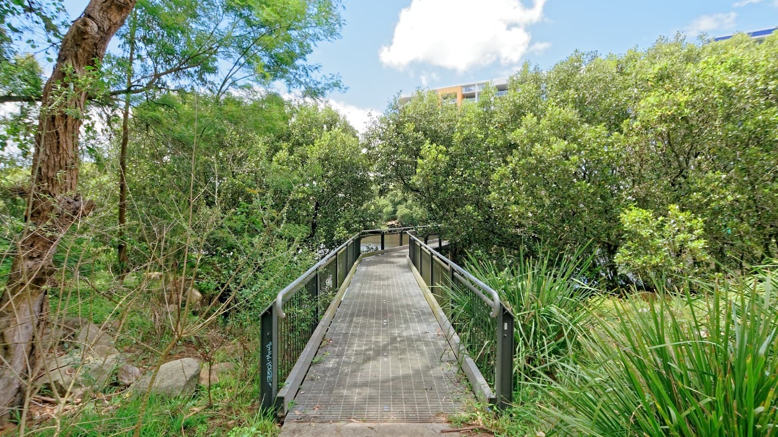 Parramatta River Viewpoint — Parramatta, Sydney