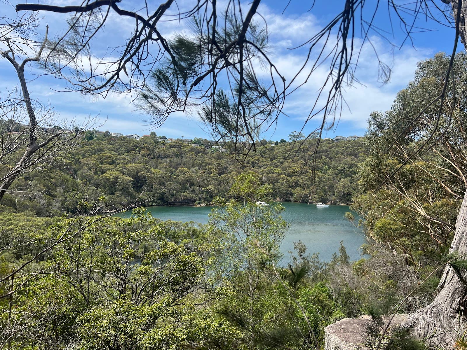 Lookout — Chatswood, Sydney