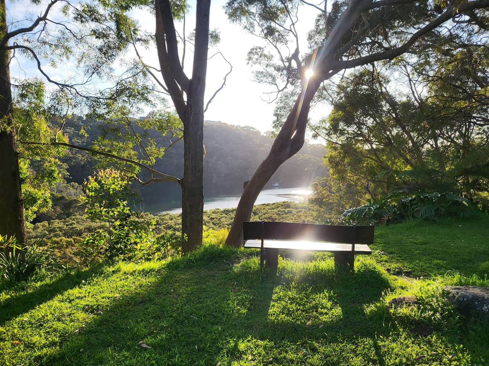 Lookout — Chatswood, Sydney