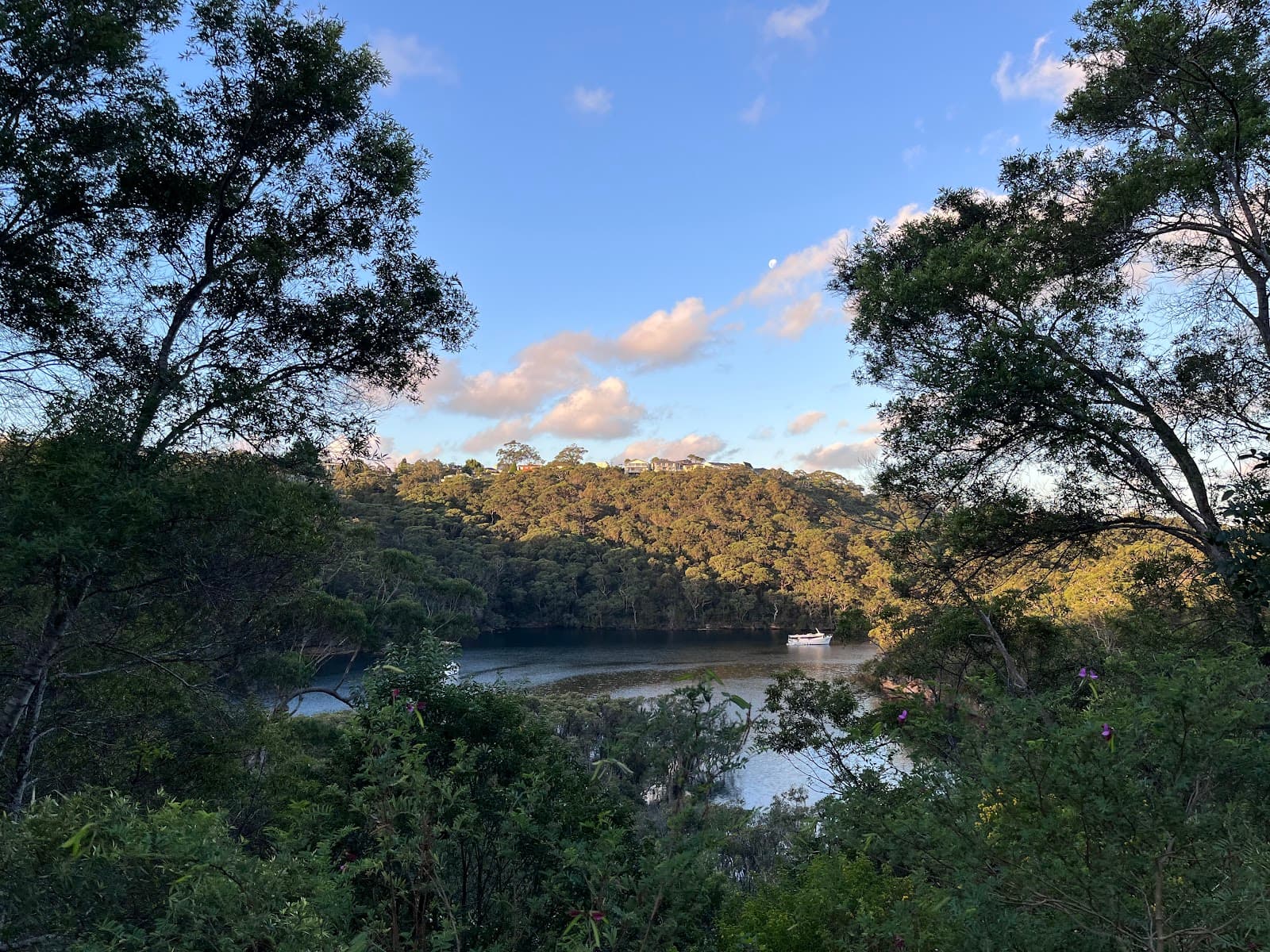 Lookout — Chatswood, Sydney