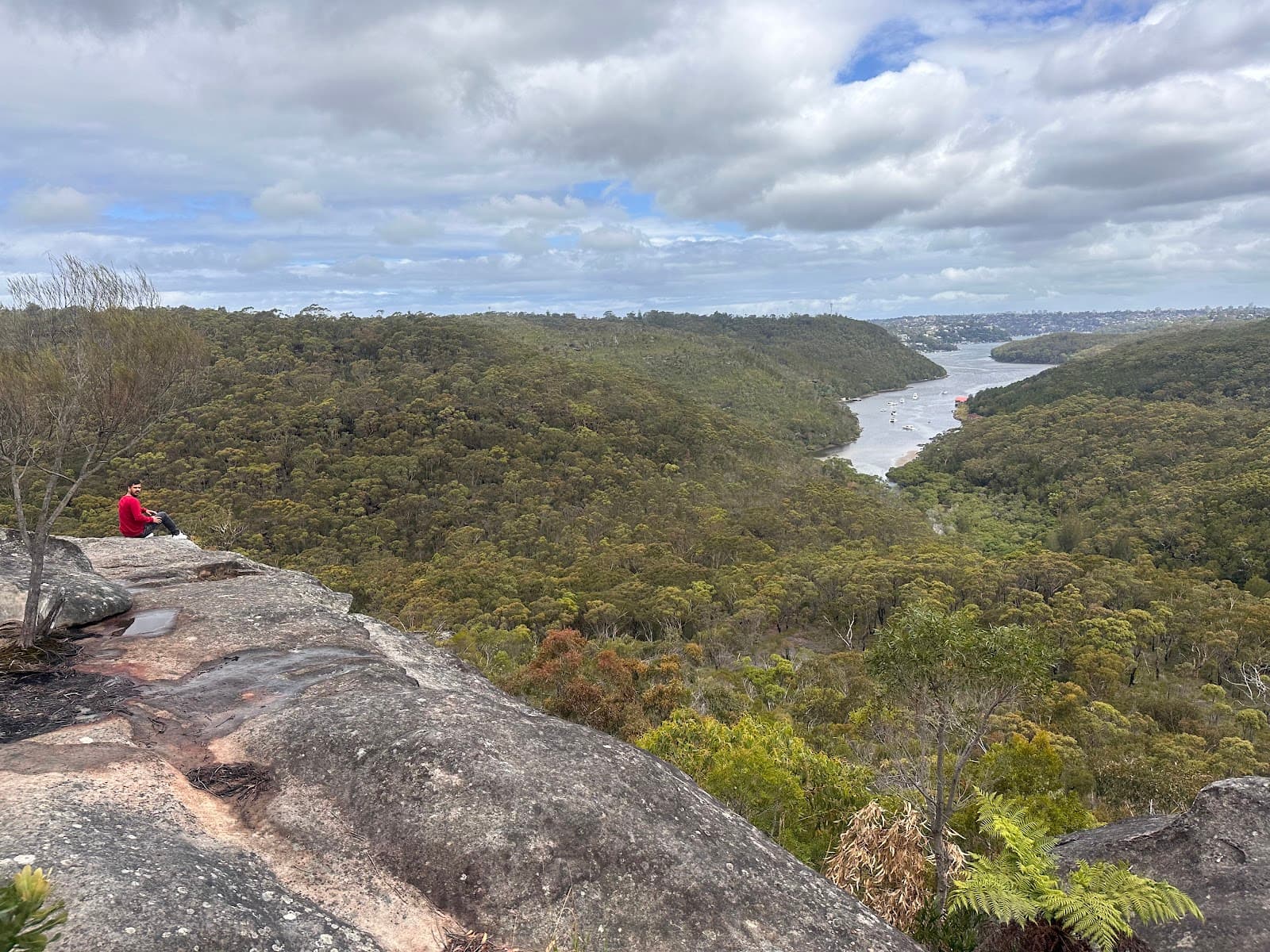The Bluff Lookout — Chatswood, Sydney
