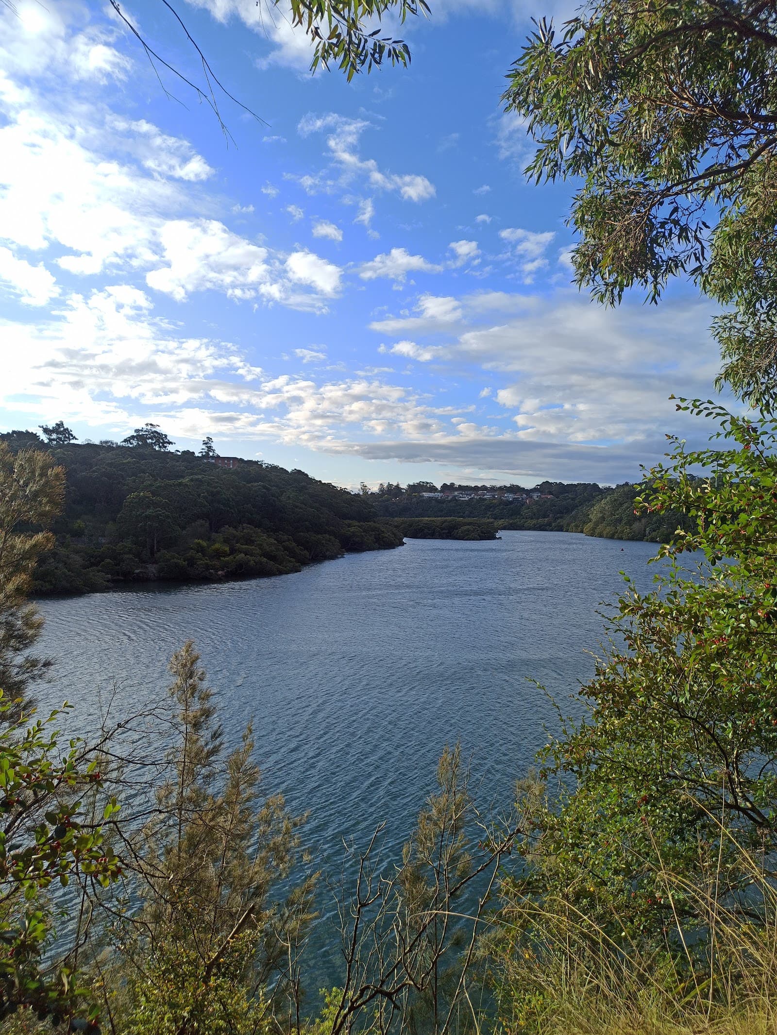 Thomas McClintock Lookout — Chatswood, Sydney