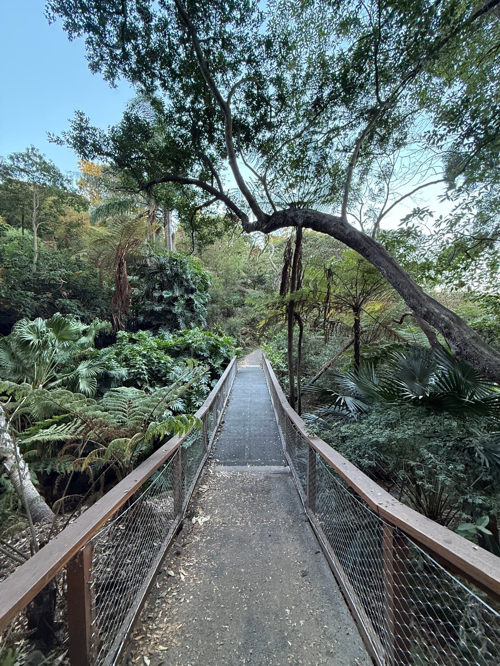 Hunts Lookout — Chatswood, Sydney