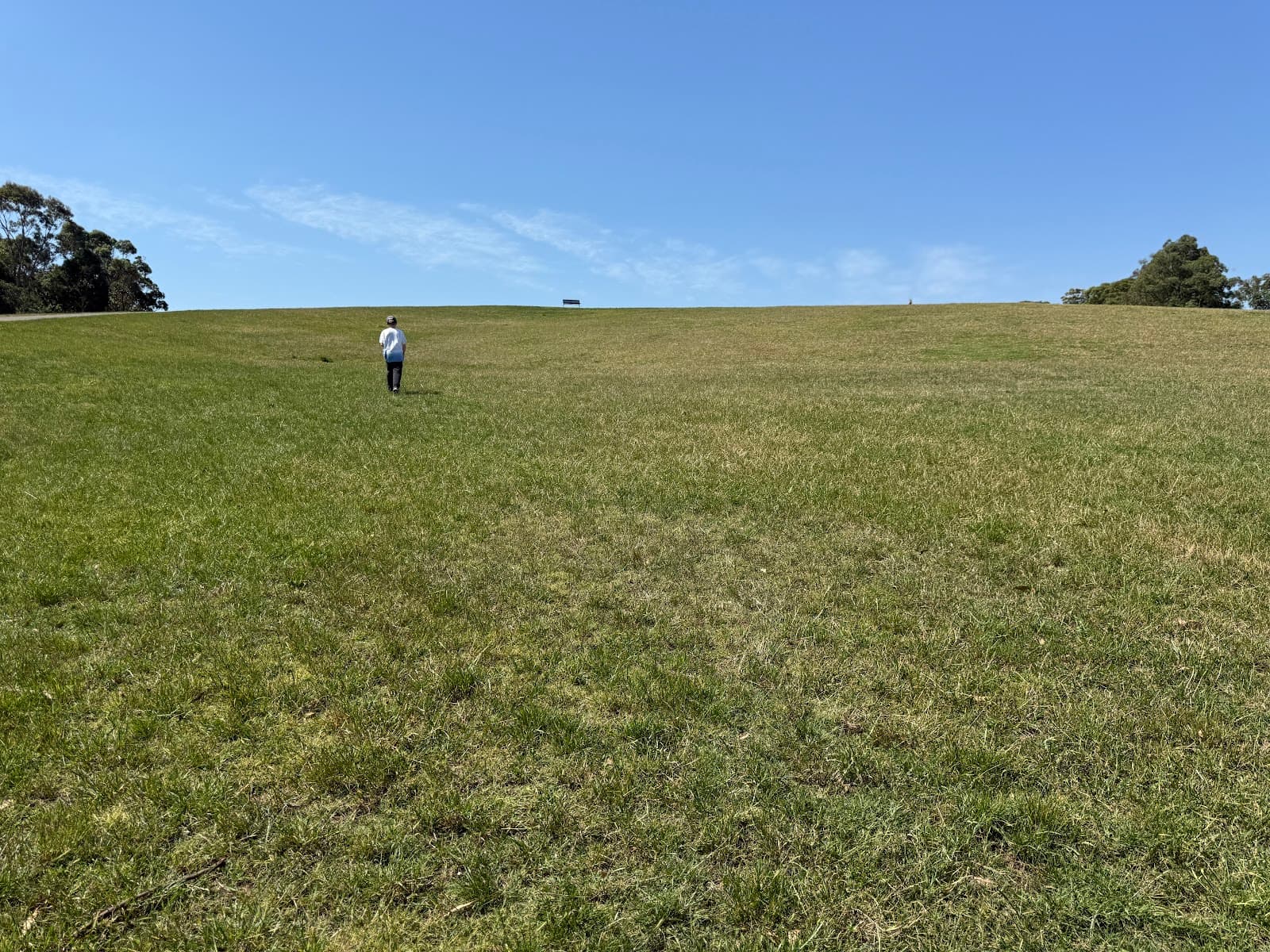 The Hill — Alexandria, Sydney
