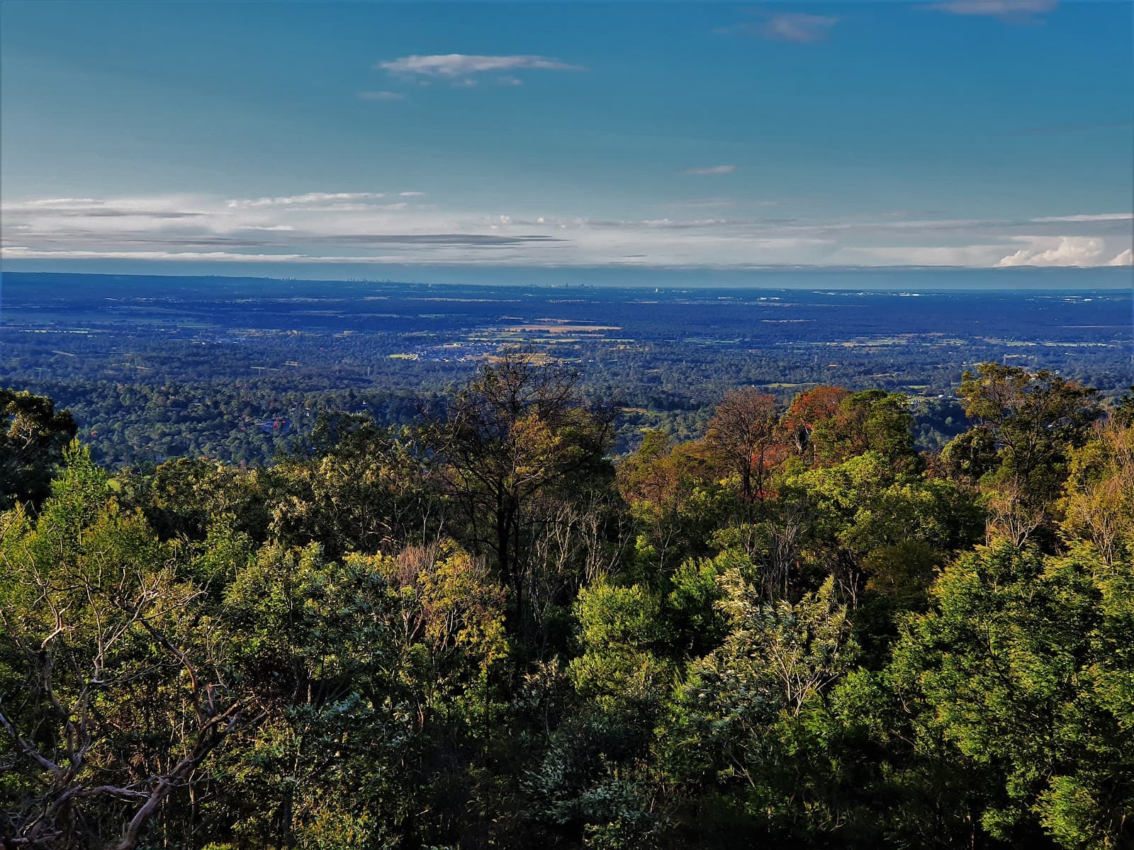 Bellbird Lookout — Alexandria, Sydney