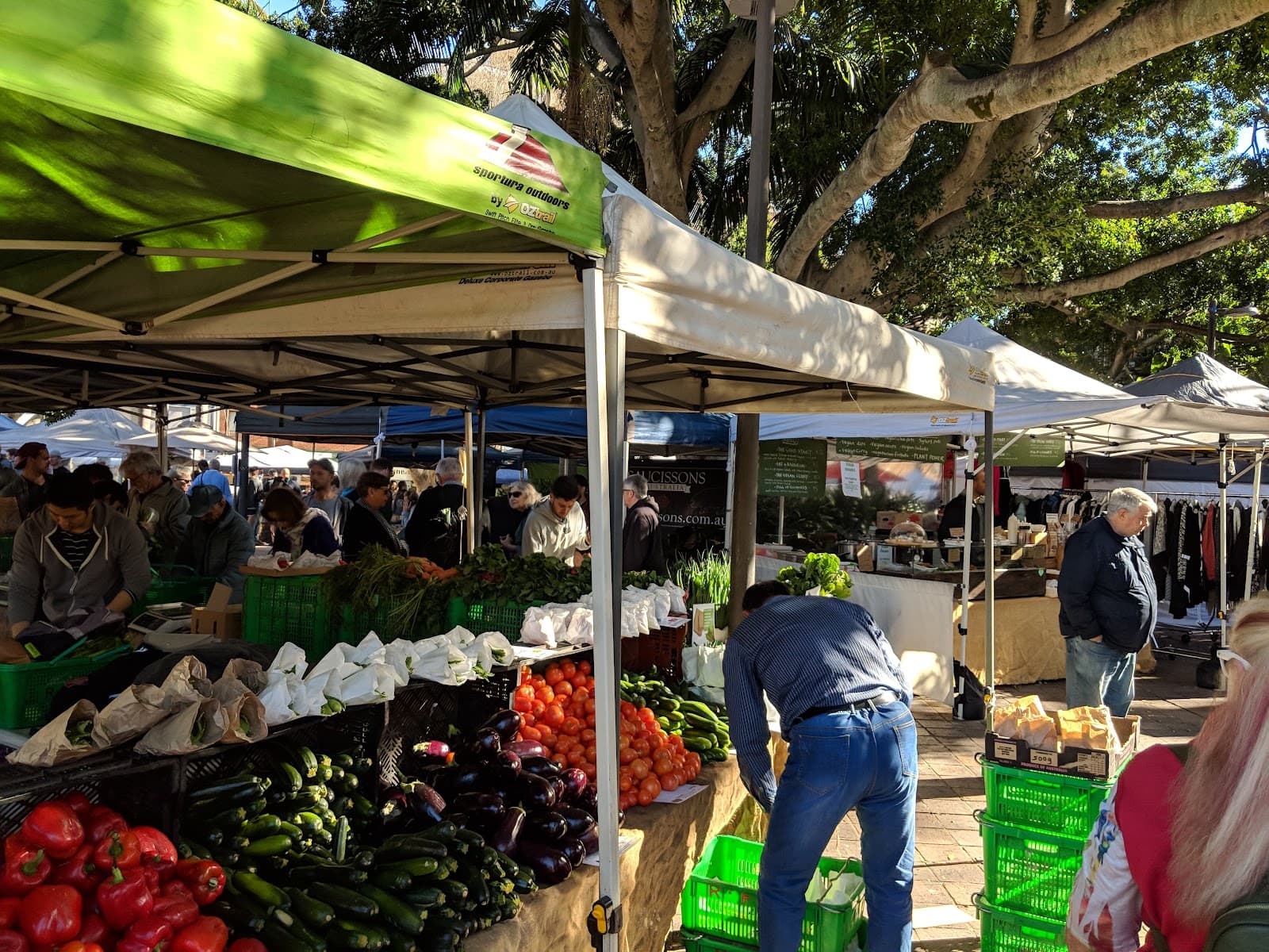 Kings Cross Organic Food Market — Coogee, Sydney