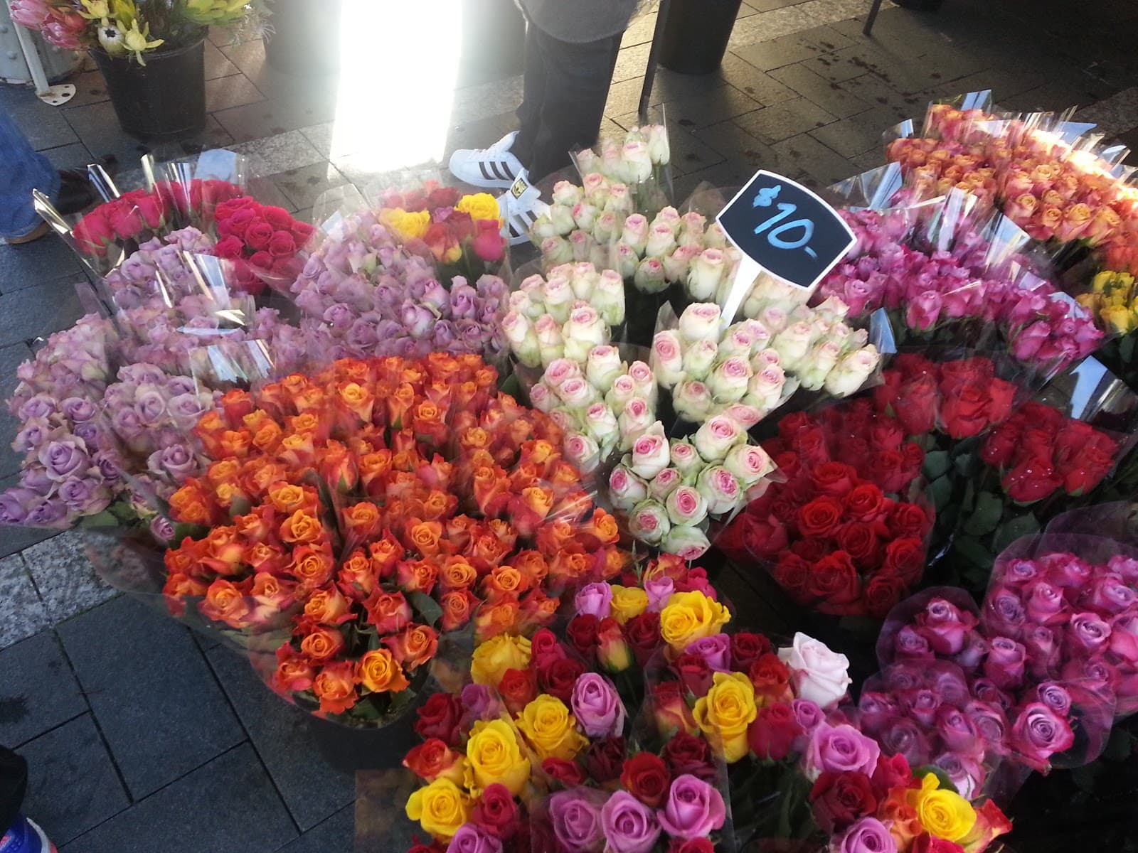 Sydney Sustainable Markets — Coogee, Sydney