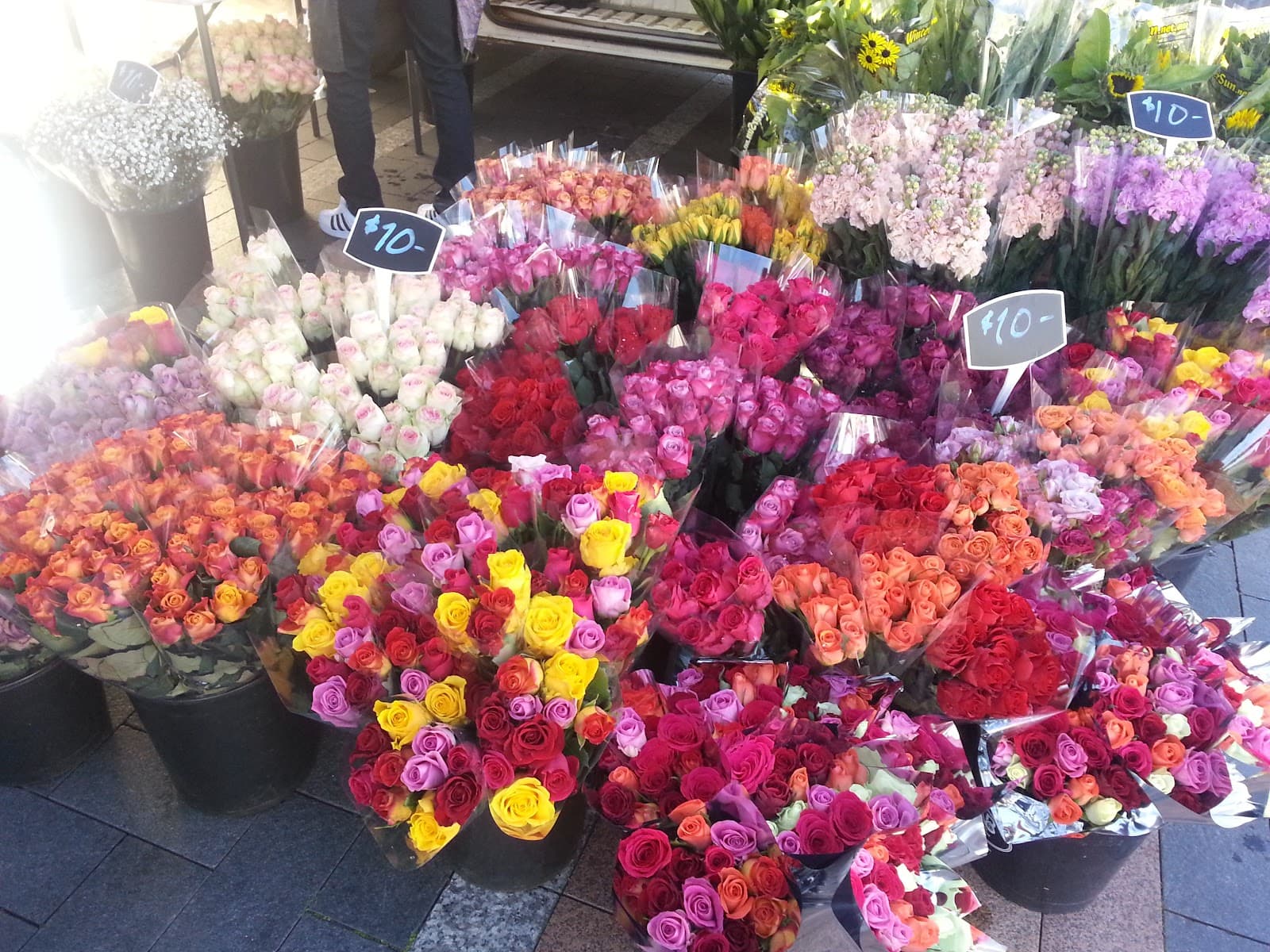 Sydney Sustainable Markets — Coogee, Sydney