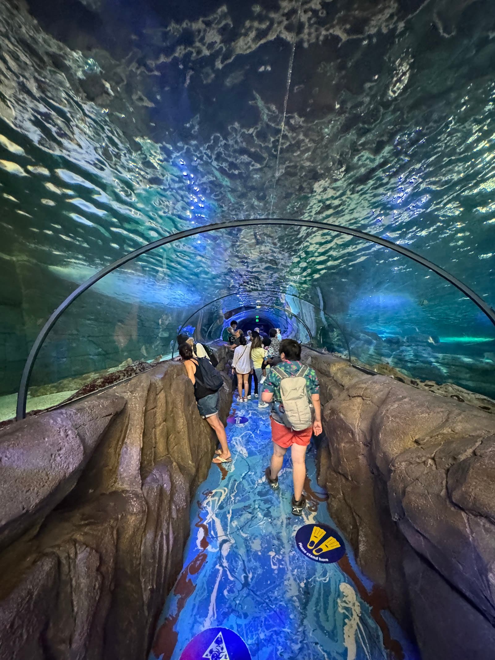 SEA LIFE Sydney Aquarium — Alexandria, Sydney