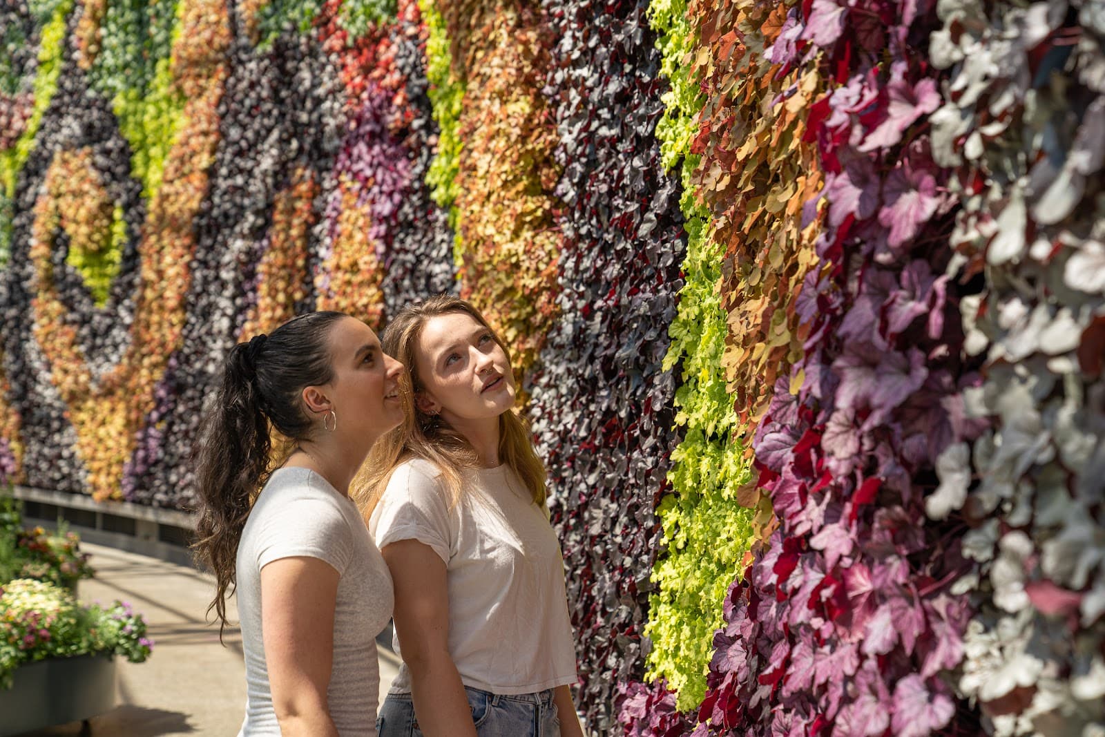 The Calyx — Alexandria, Sydney