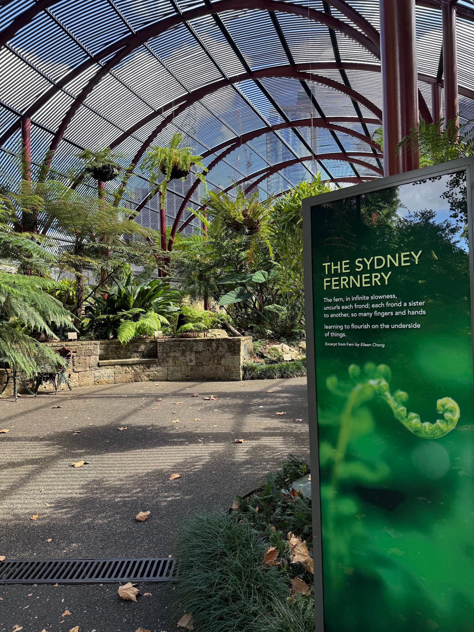 The Sydney Fernery — Alexandria, Sydney