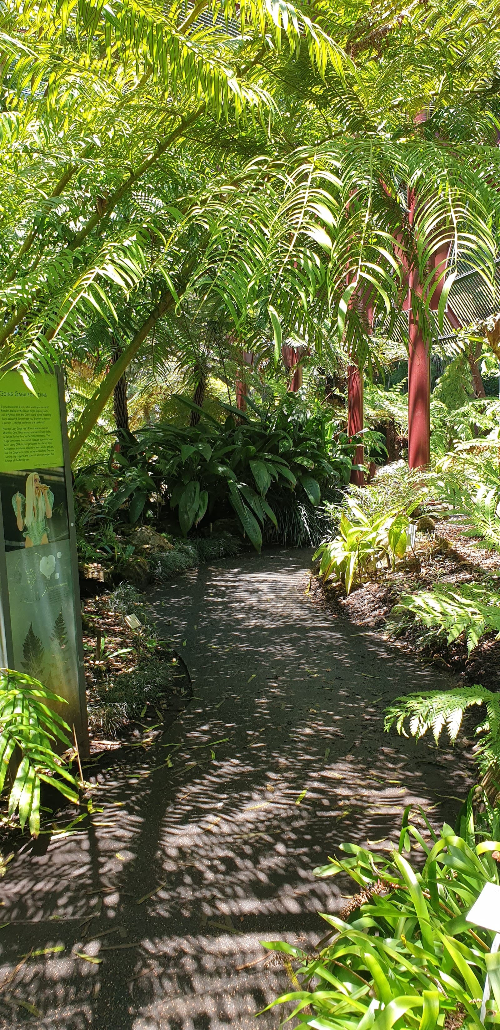 The Sydney Fernery — Alexandria, Sydney