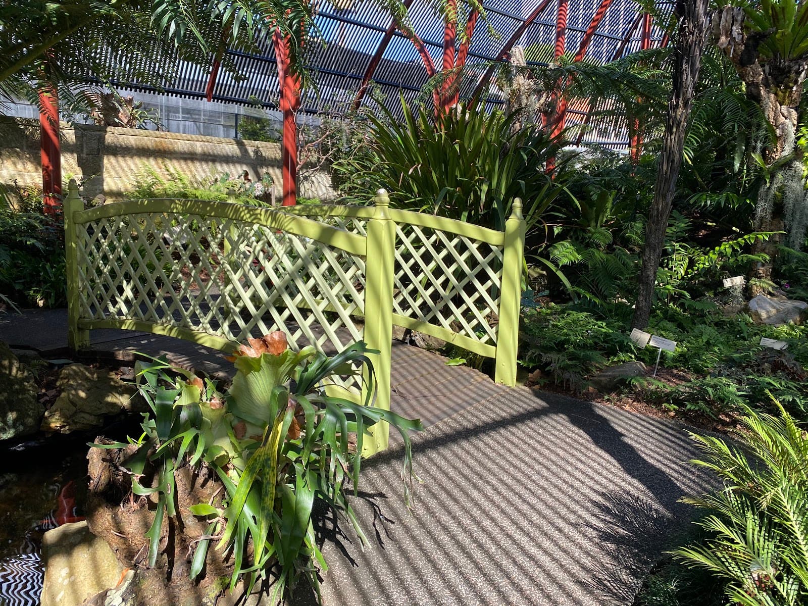 The Sydney Fernery — Alexandria, Sydney