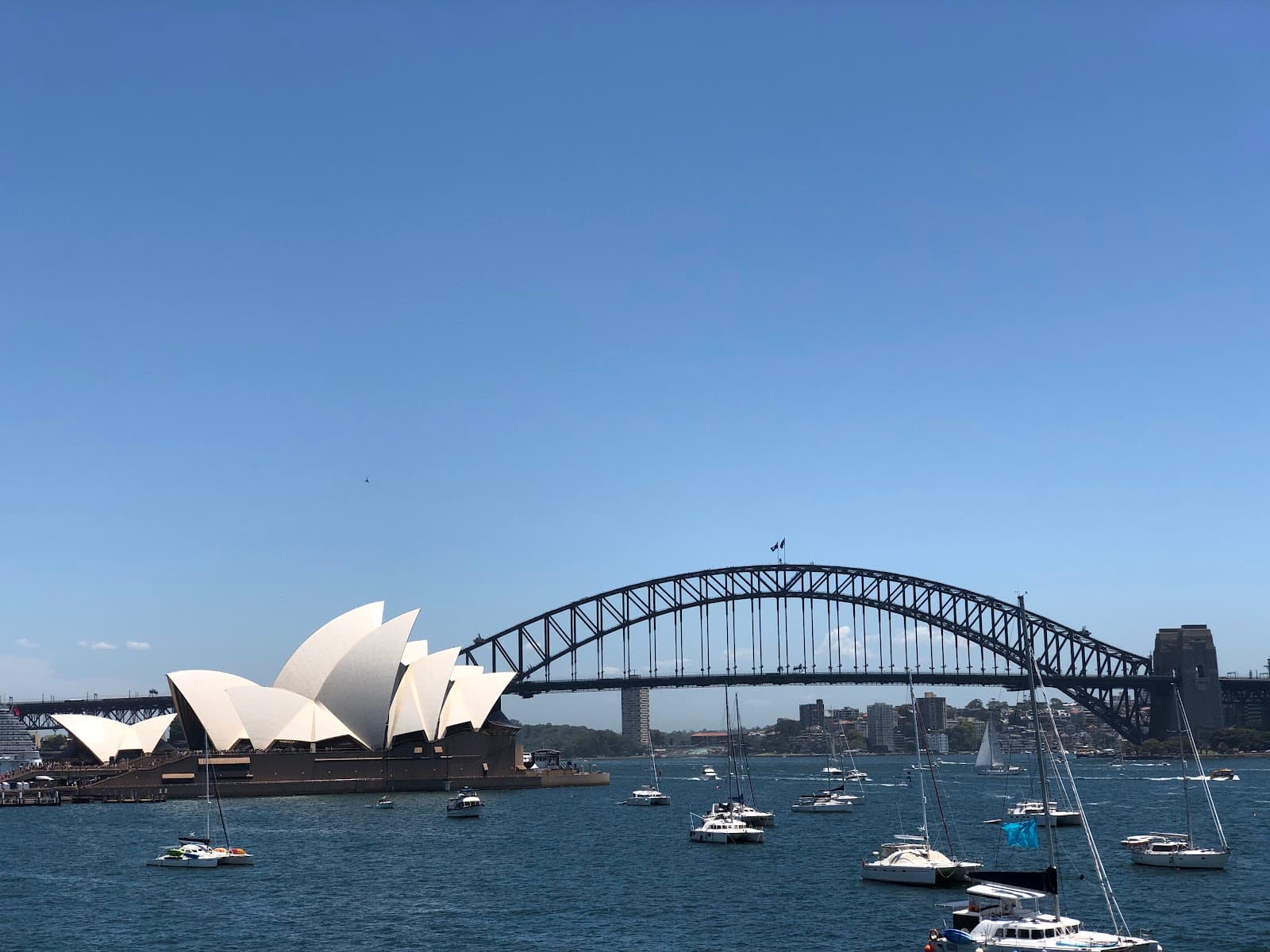 Mrs Macquarie's Chair — Sydney CBD, Sydney