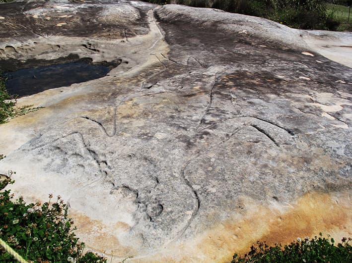 Bondi Beach Aboriginal Rock Art Tours — Bondi, Sydney