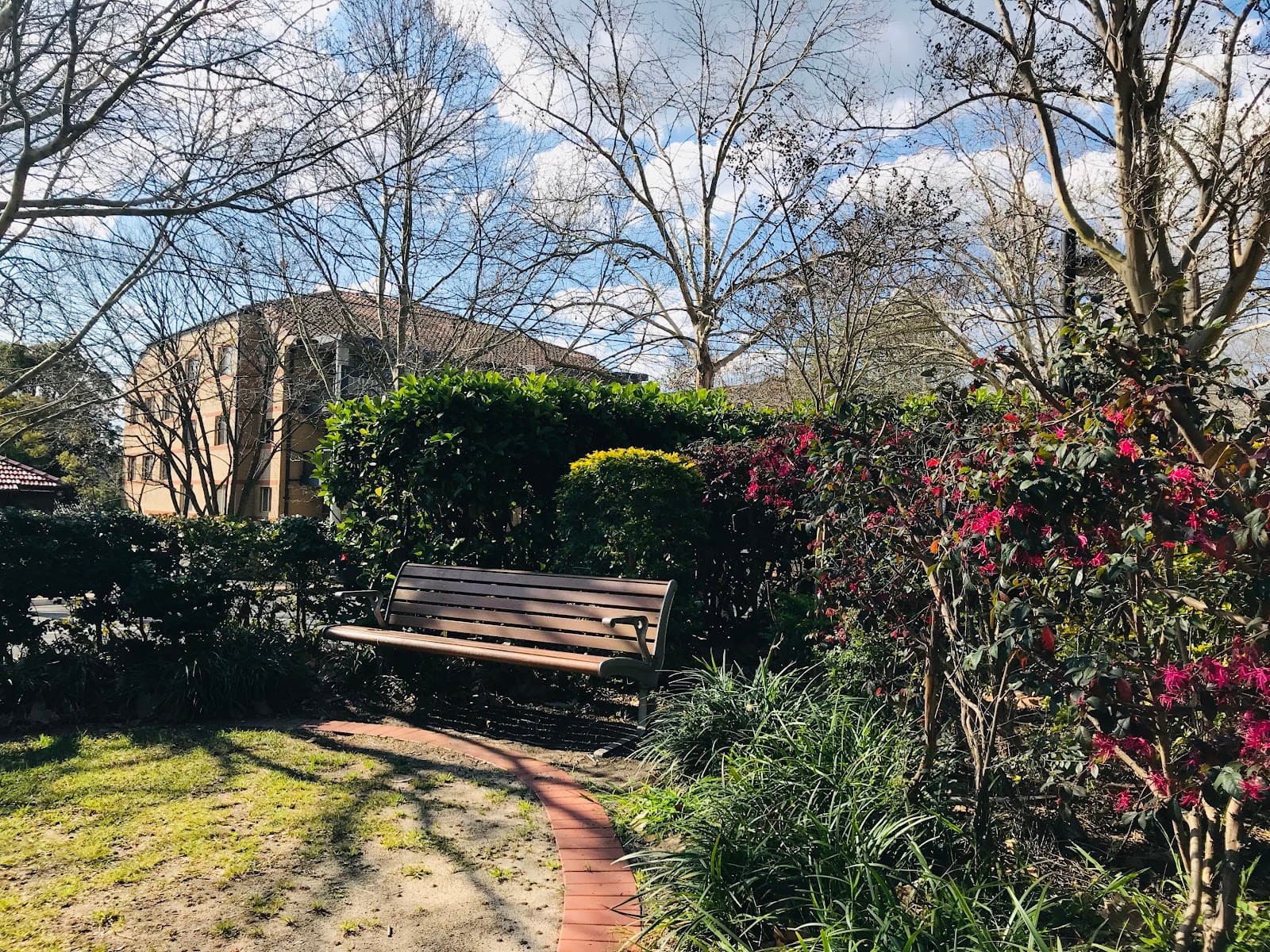 Mashman Park — Chatswood, Sydney