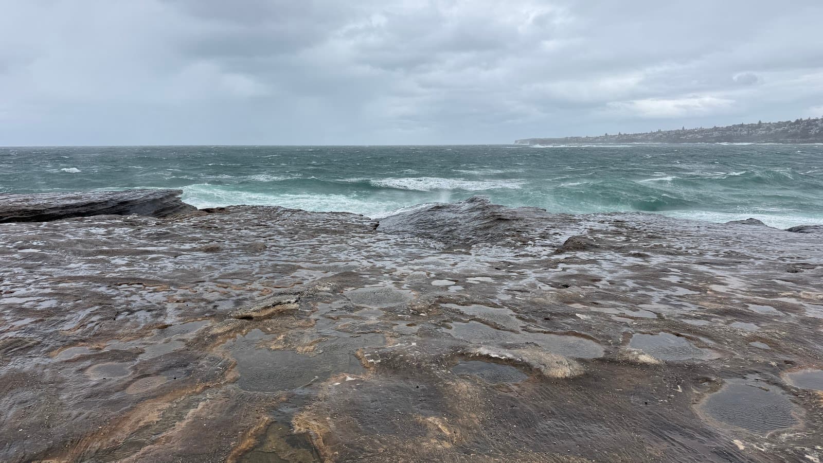 Coogee rocks — Coogee, Sydney