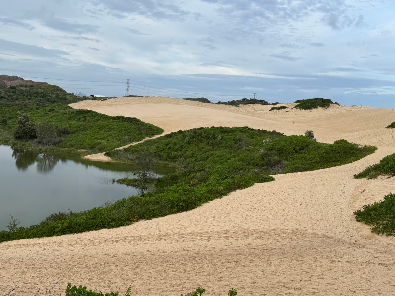 Cronulla Sand Dunes Viewing Platform — Cronulla, Sydney