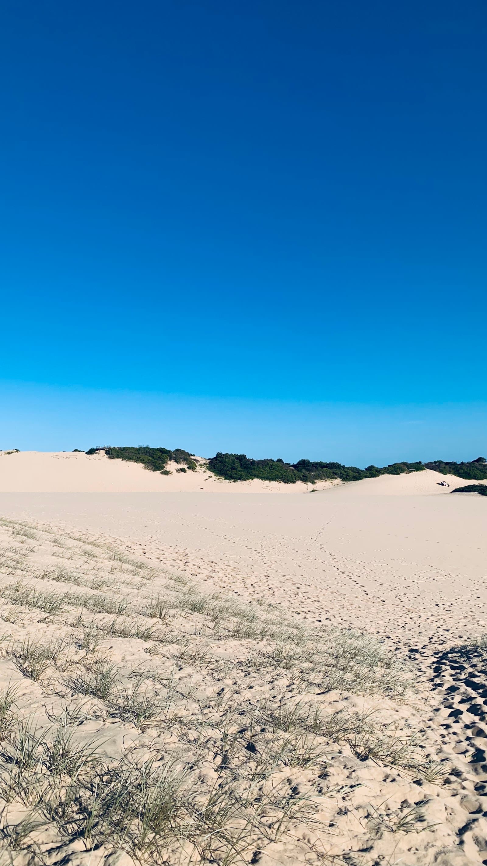 Cronulla Sand Dunes Viewing Platform — Cronulla, Sydney
