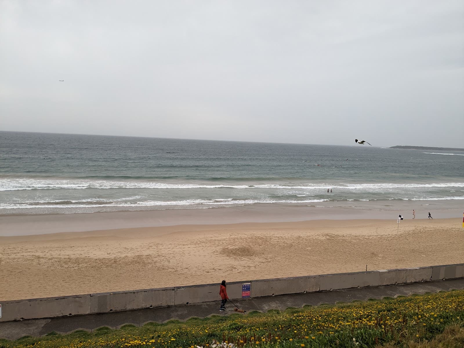 Wanda Sand Dunes Meeting Point — Cronulla, Sydney