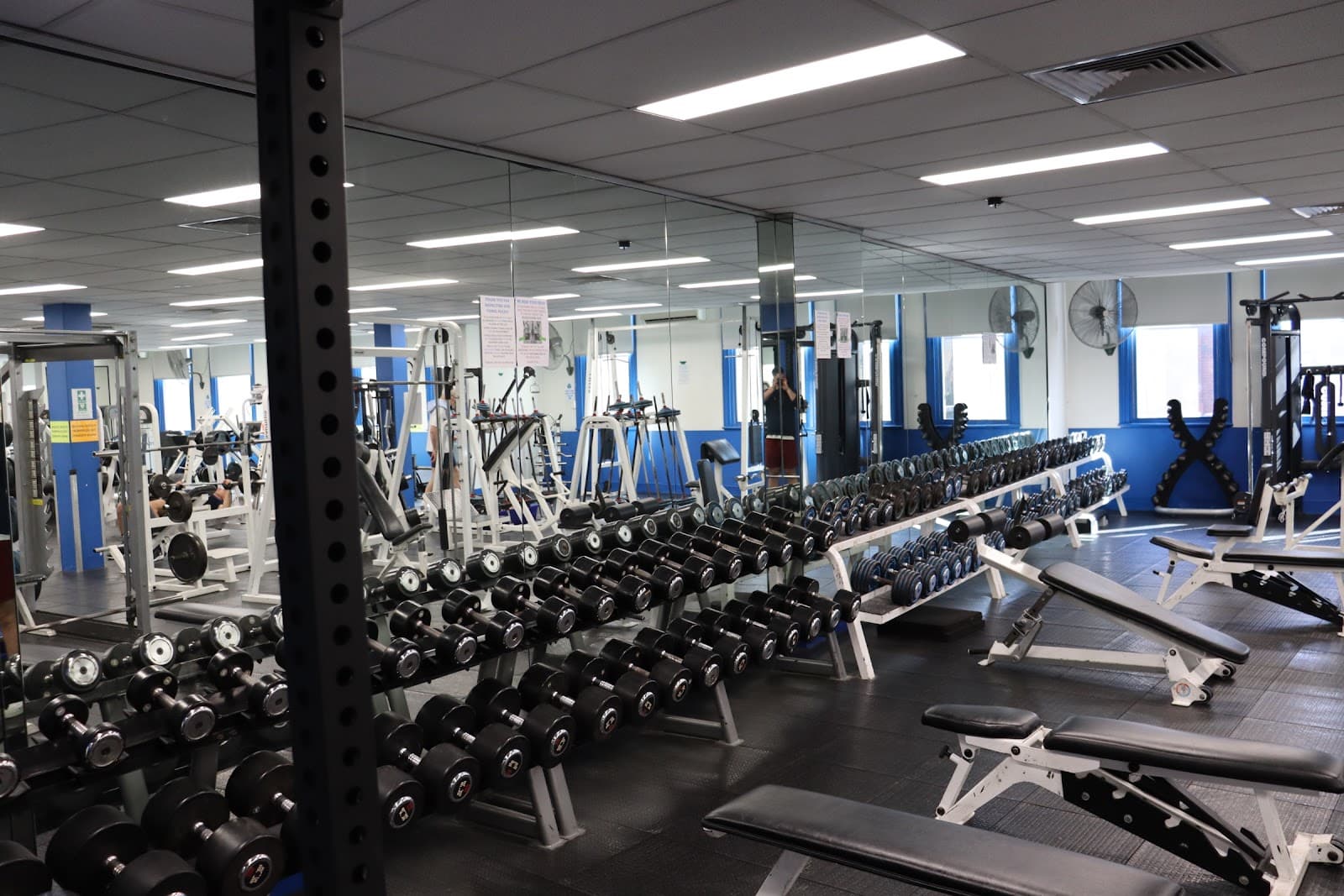 Newtown Gym — Newtown, Sydney