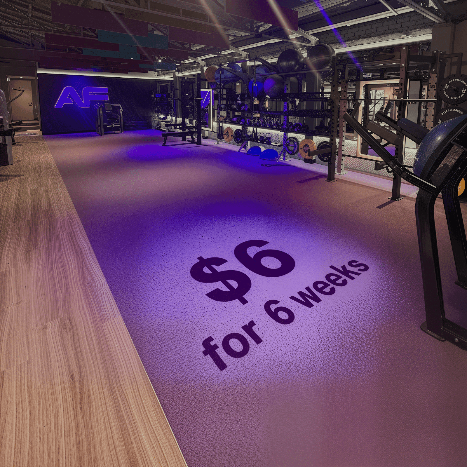 Anytime Fitness Manly — Manly, Sydney