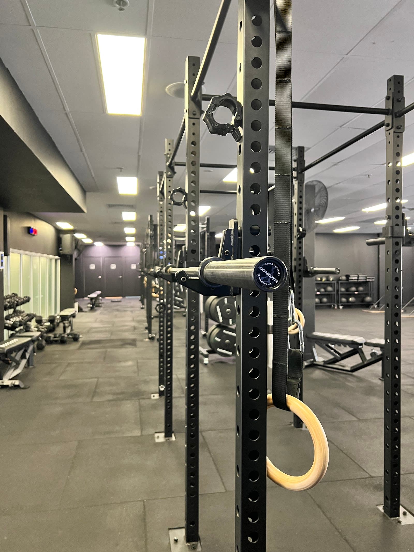 Conditn Manly — Manly, Sydney
