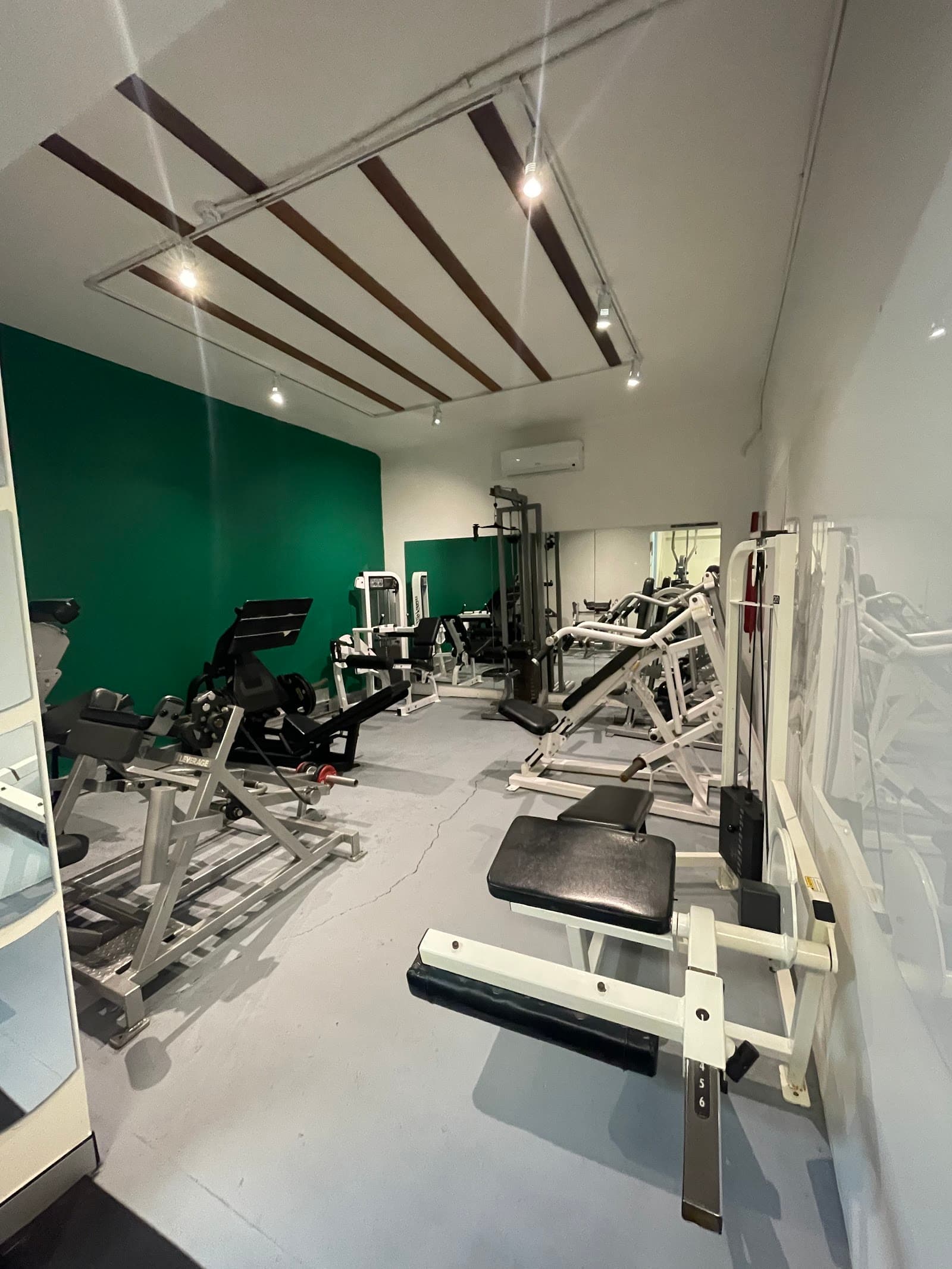 NFC Gym — Manly, Sydney
