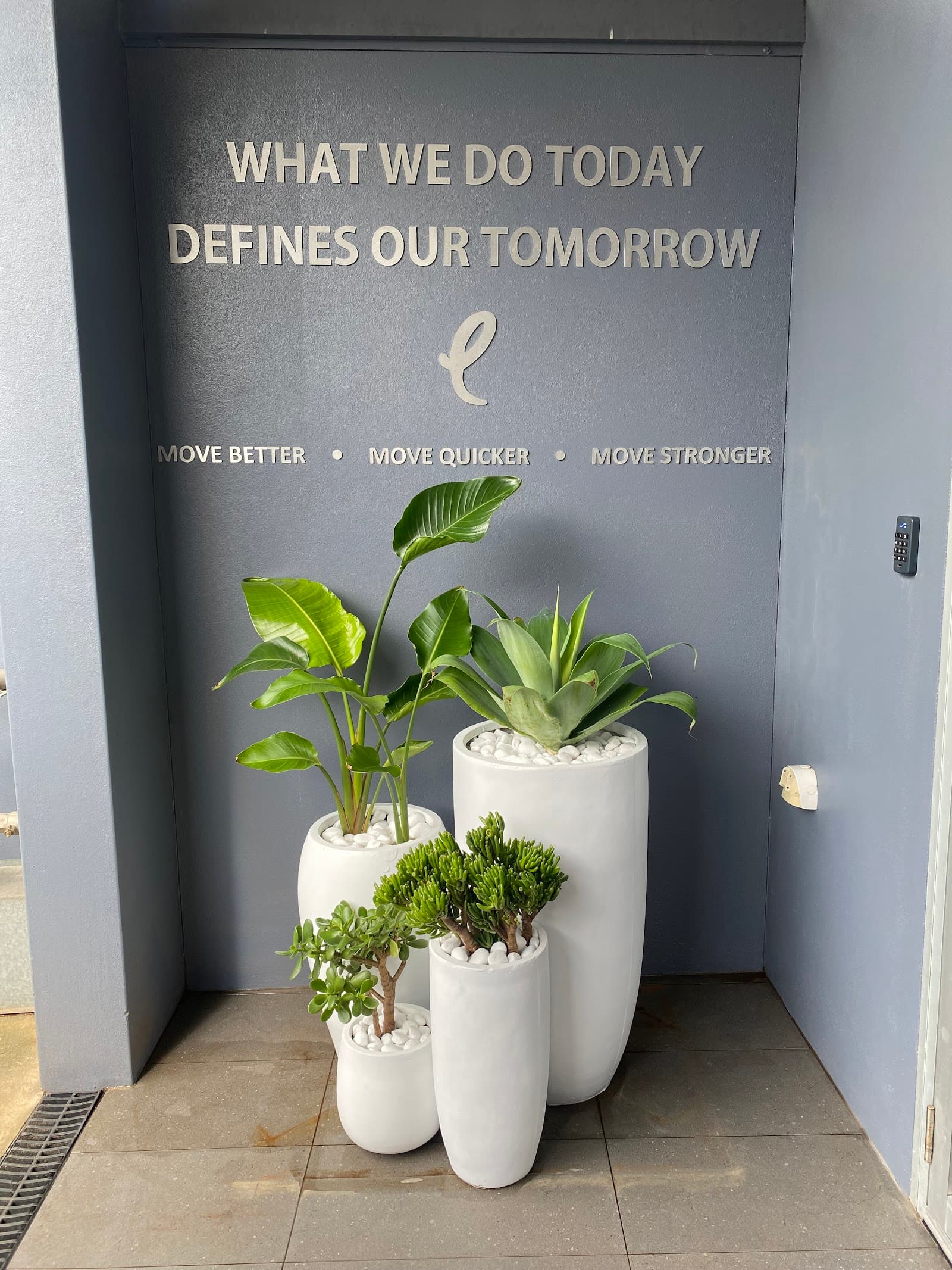 Studio Evolution Fitness — Balmain, Sydney
