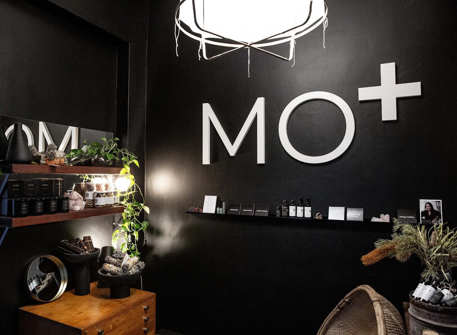 MO+ — Bondi, Sydney