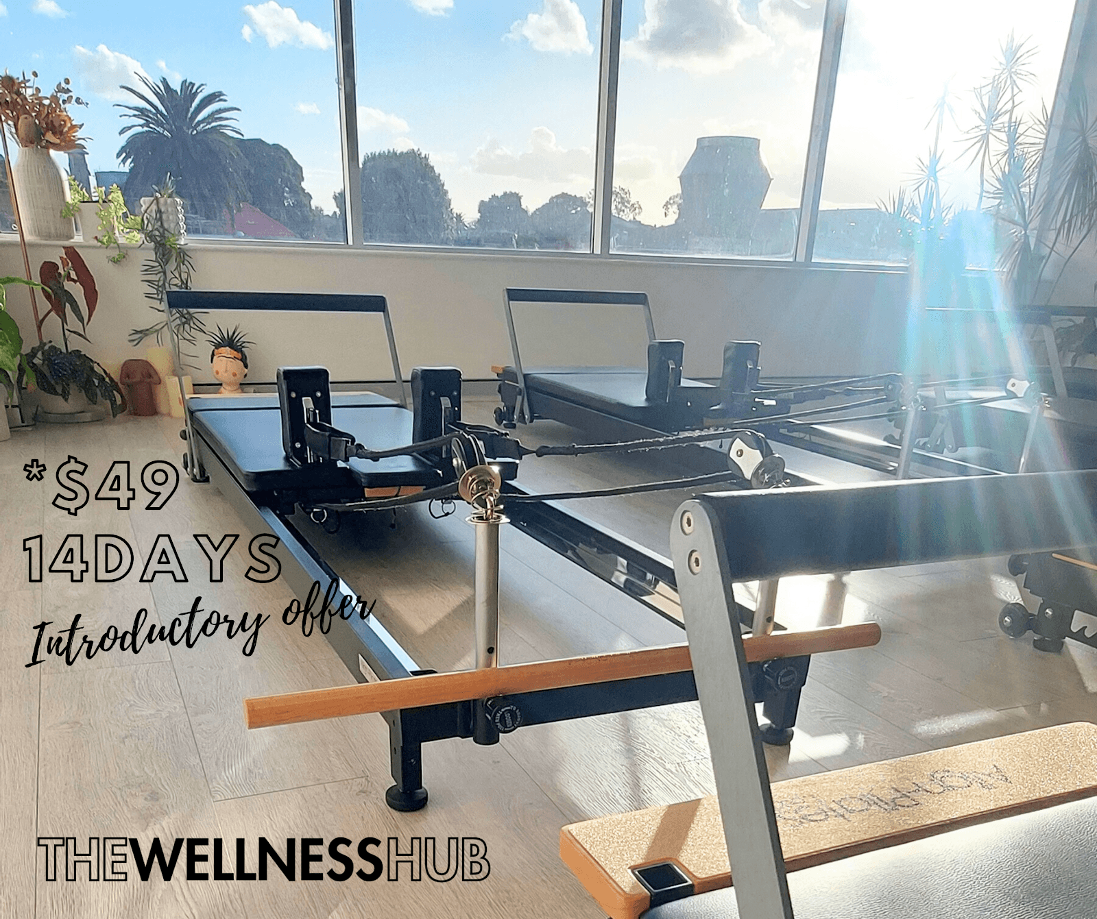 The Wellness Hub — Balmain, Sydney